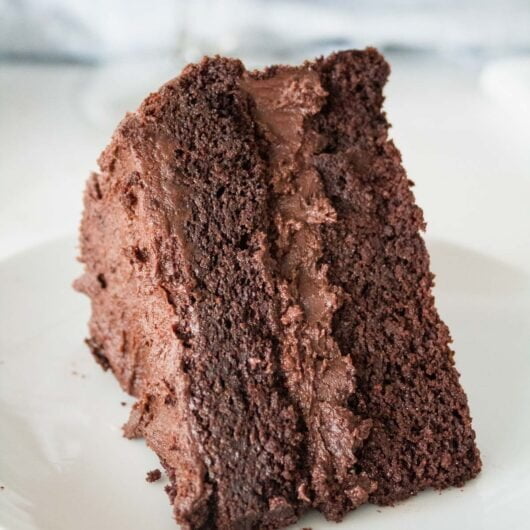 a slice of low sugar chocolate cake